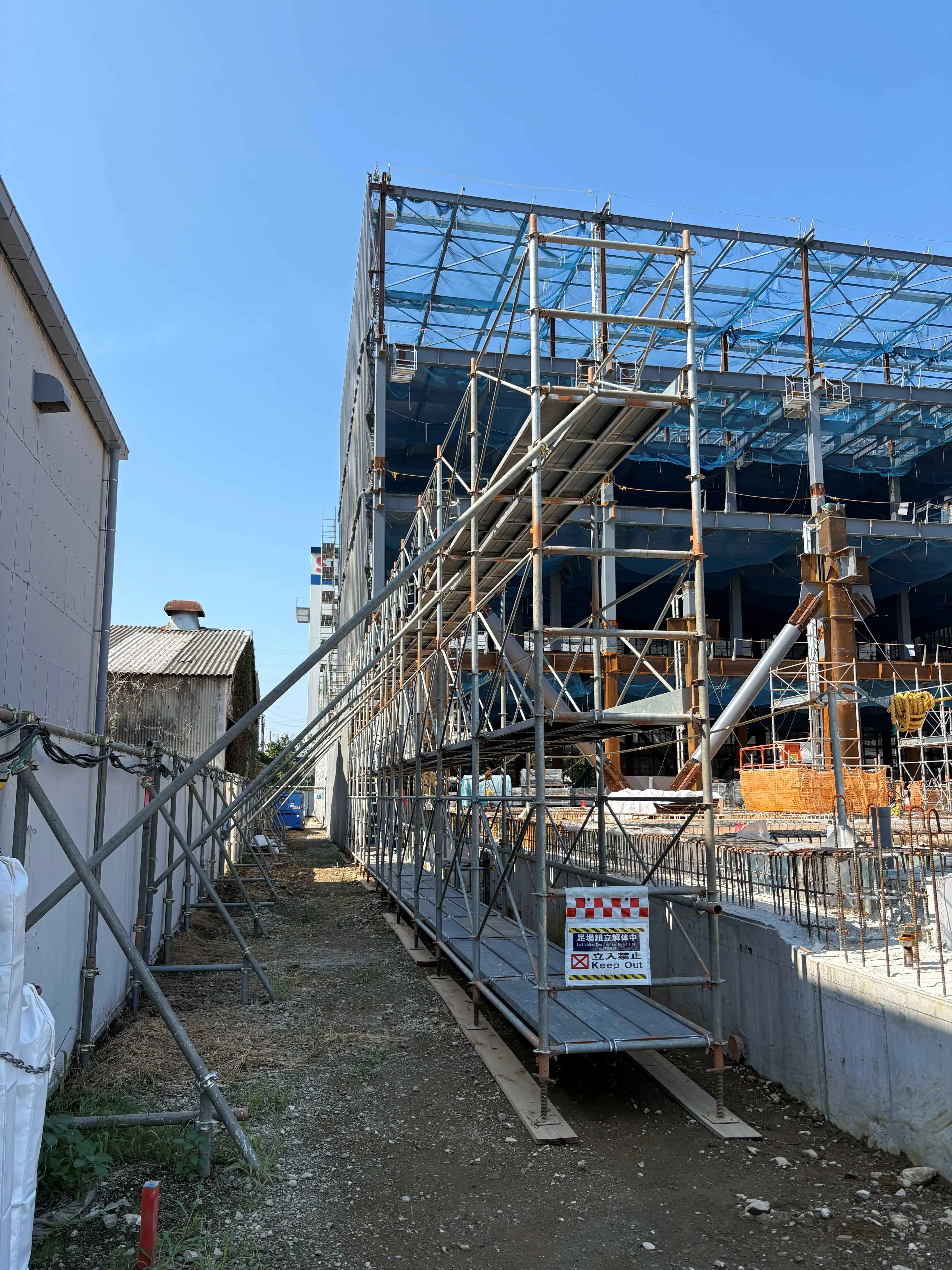 IMG_ichikawachidori001